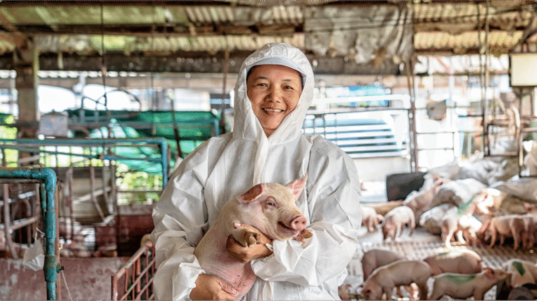 Read more about the article 盛豐興農業有限公司網站